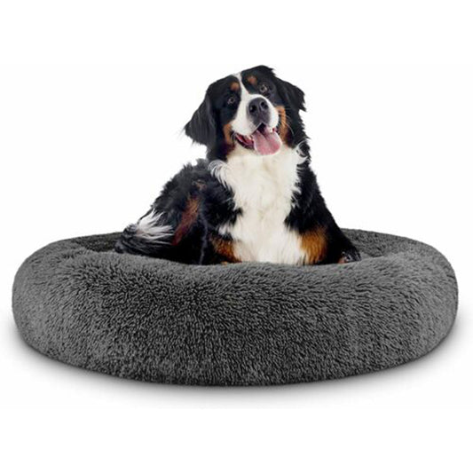 dog sitting on a grey round cushion