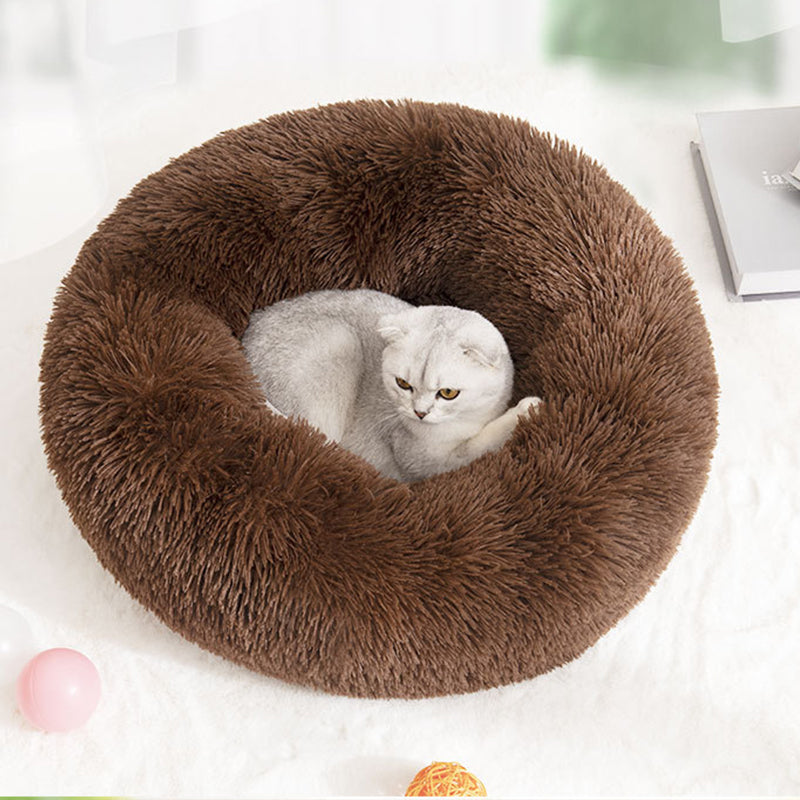 white cat resting inside a brown round cushion