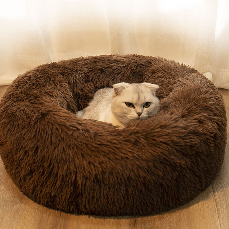 cat inside on a brown round cushion